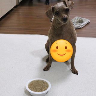 나멍이님이 올린 리뷰 사진 3