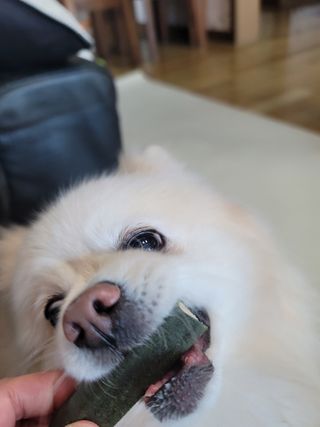 나초단맘님이 올린 리뷰 사진 2