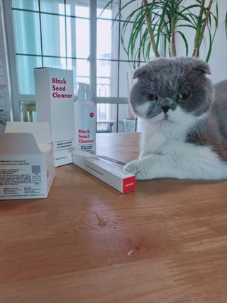 좋아님이 올린 리뷰 사진 2