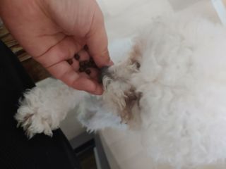 햇님달님님이 올린 리뷰 사진 4