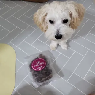 댑빵이님이 올린 리뷰 사진 2