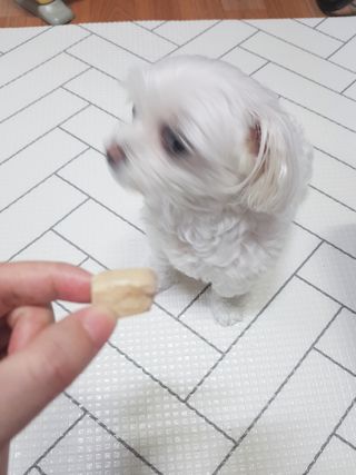두부님이 올린 리뷰 사진 4