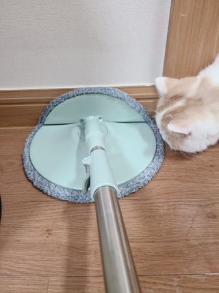 으나님이 올린 리뷰 사진 1