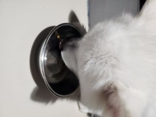 줴롱이님이 올린 리뷰 사진 1