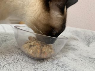 dole님이 올린 리뷰 사진 3