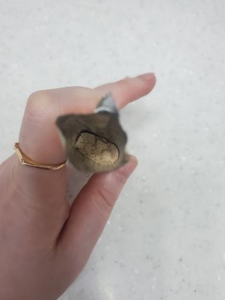 피터래빗님이 올린 리뷰 사진 4