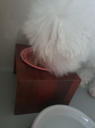 hyun♡님이 올린 리뷰 사진 4