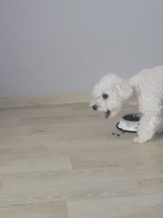 채원님이 올린 리뷰 사진 3