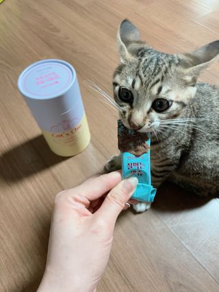 페페로니 잘 먹는 캣츄 - 무항생제 닭고기 12개 + 원양선 참치 12개 — 5점을 준 리뷰어가 2021년 8월 올린 사용 사진