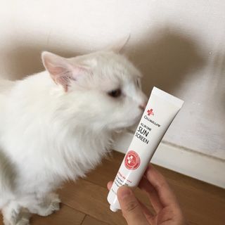 시몽님이 올린 리뷰 사진 3