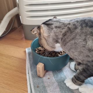장간님이 올린 리뷰 사진 2