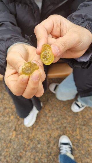 별꽁달꽁님이 올린 리뷰 사진 2