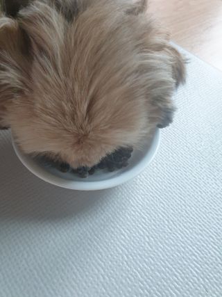 보리엄마님이 올린 리뷰 사진 4