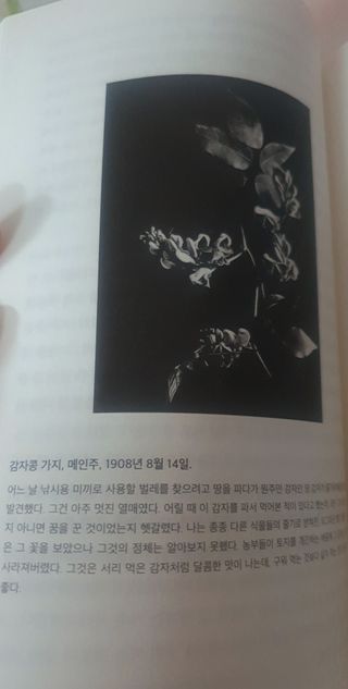 써니님이 올린 리뷰 사진 4