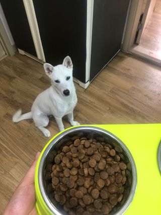 janggunni님이 올린 리뷰 사진 2