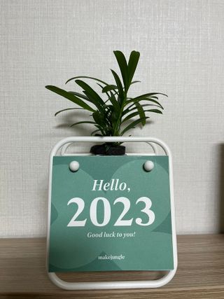 [메이크정글] 식물과 달력이 하나로, 2023년 식물캘린더 No.1 — 5점을 준 리뷰어가 2022년 10월 올린 사용 사진