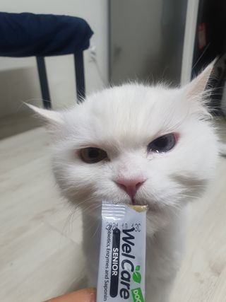 poochi님이 올린 리뷰 사진 1