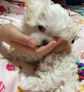 버츠비 케어플러스 릴리빙포앤노즈로션 — 5점을 준 리뷰어가 2021년 4월 올린 사용 사진