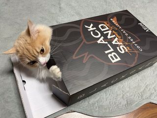 슨슨이님이 올린 리뷰 사진 1
