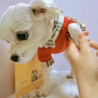 버츠비 케어플러스 릴리빙포앤노즈로션 — 5점을 준 리뷰어가 2021년 4월 올린 사용 사진
