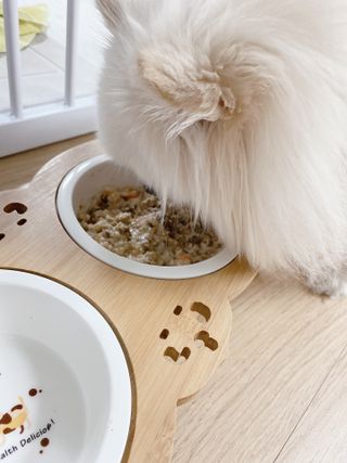 쭌맘구름맘님이 올린 리뷰 사진 3