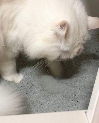 fively님이 올린 리뷰 사진 3
