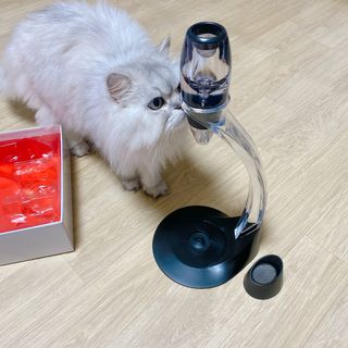 두히야님이 올린 리뷰 사진 3