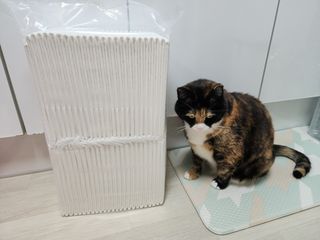 솔탄이love님이 올린 리뷰 사진 1
