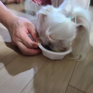 스카이보스님이 올린 리뷰 사진 4