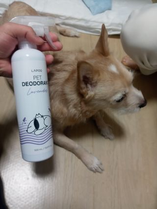 유나대디 임정환님이 올린 리뷰 사진 4