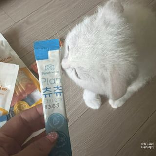 비쥬프렌즈 플랜 츄츄&건강 코어(장/관절/피모 분말) — 4.5점을 준 리뷰어가 2022년 8월 올린 사용 사진