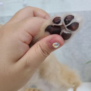 광땡이님이 올린 리뷰 사진 4