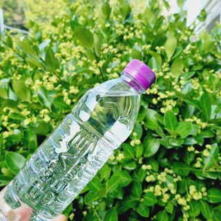 몽베스트 [MONTBEST]위드어스 500mL 20병 — 5점을 준 리뷰어가 2022년 6월 올린 사용 사진