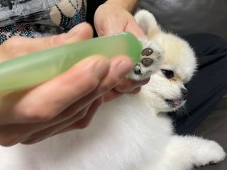 이제트님이 올린 리뷰 사진 1
