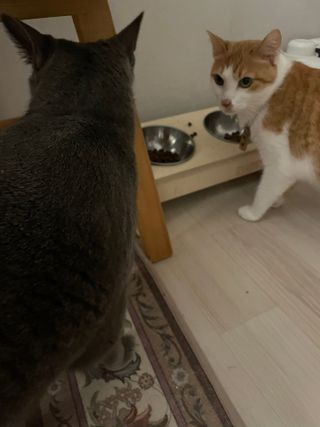 Hhaby님이 올린 리뷰 사진 3