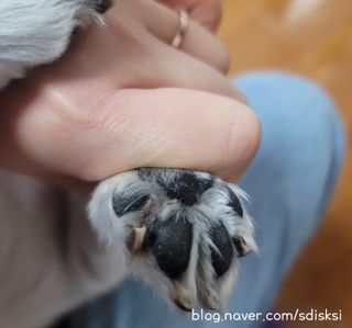 sdisksi님이 올린 리뷰 사진 1