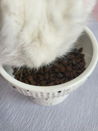 Woo7C님이 올린 리뷰 사진 2