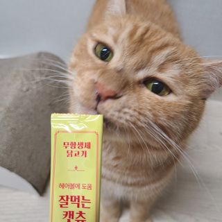 페페로니 잘 먹는 캣츄 - 무항생제 닭고기 24개입 — 4점을 준 리뷰어가 2021년 7월 올린 사용 사진