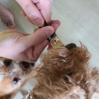 제이님이 올린 리뷰 사진 3