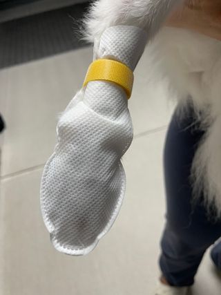 코보콩 에어슈즈 강아지 일회용 신발 소용량 패키지 20매 초경량  미끄럼방지 실내외 겸용 — 2점을 준 리뷰어가 2022년 2월 올린 사용 사진