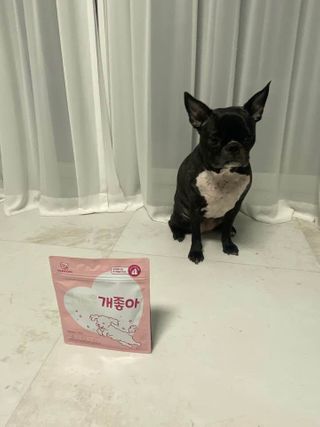 My Pet Care 천연단백질 관절건강에 개좋아 — 5점을 준 리뷰어가 2021년 1월 올린 사용 사진