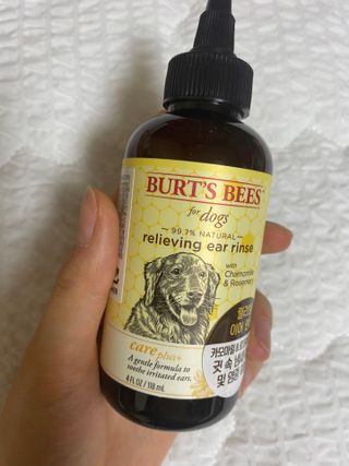 빅참새님이 올린 리뷰 사진 1
