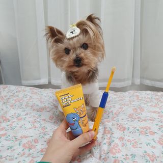 솜희님이 올린 리뷰 사진 3