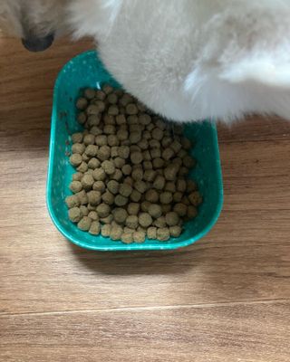초콜렛푸딩님이 올린 리뷰 사진 4