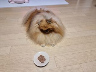 아롱이님이 올린 리뷰 사진 4