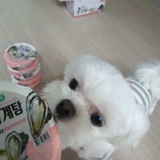 hosu.1230님이 올린 리뷰 사진 2