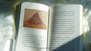 Amina님이 올린 리뷰 사진 4