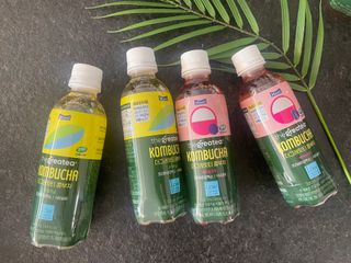 더그레잇티 콤부차 [매일유업] 더그레잇티 44kcal 콤부차 300ml *12개입 (오리지널 6개+베리리치 6개) — 5점을 준 리뷰어가 2023년 7월 올린 사용 사진