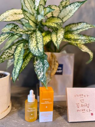 체르엠 스템앤셀 비타민 브라이트닝 에센스 30ml 1개 — 5점을 준 리뷰어가 2022년 3월 올린 사용 사진