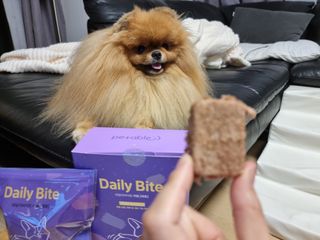 아롱이님이 올린 리뷰 사진 1
